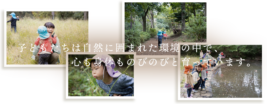 アロハおおしま保育園 園内マップ