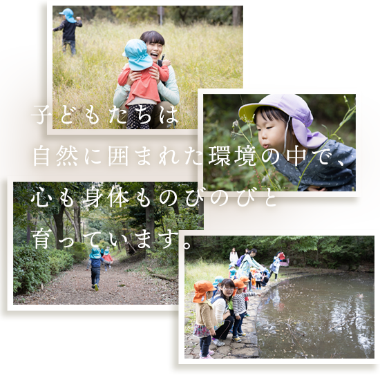 アロハおおしま保育園 園内マップ