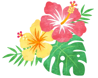 ハイビスカスのイラスト